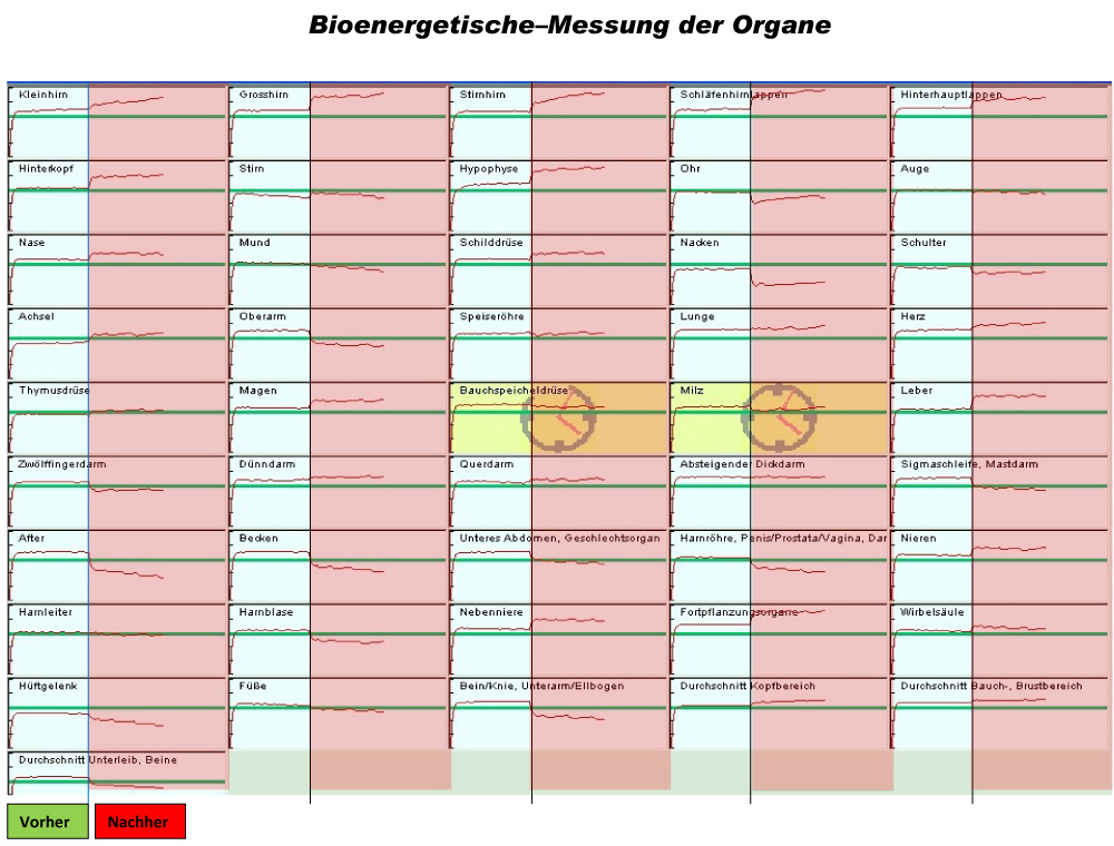 Bioenergetische Messung der Organe